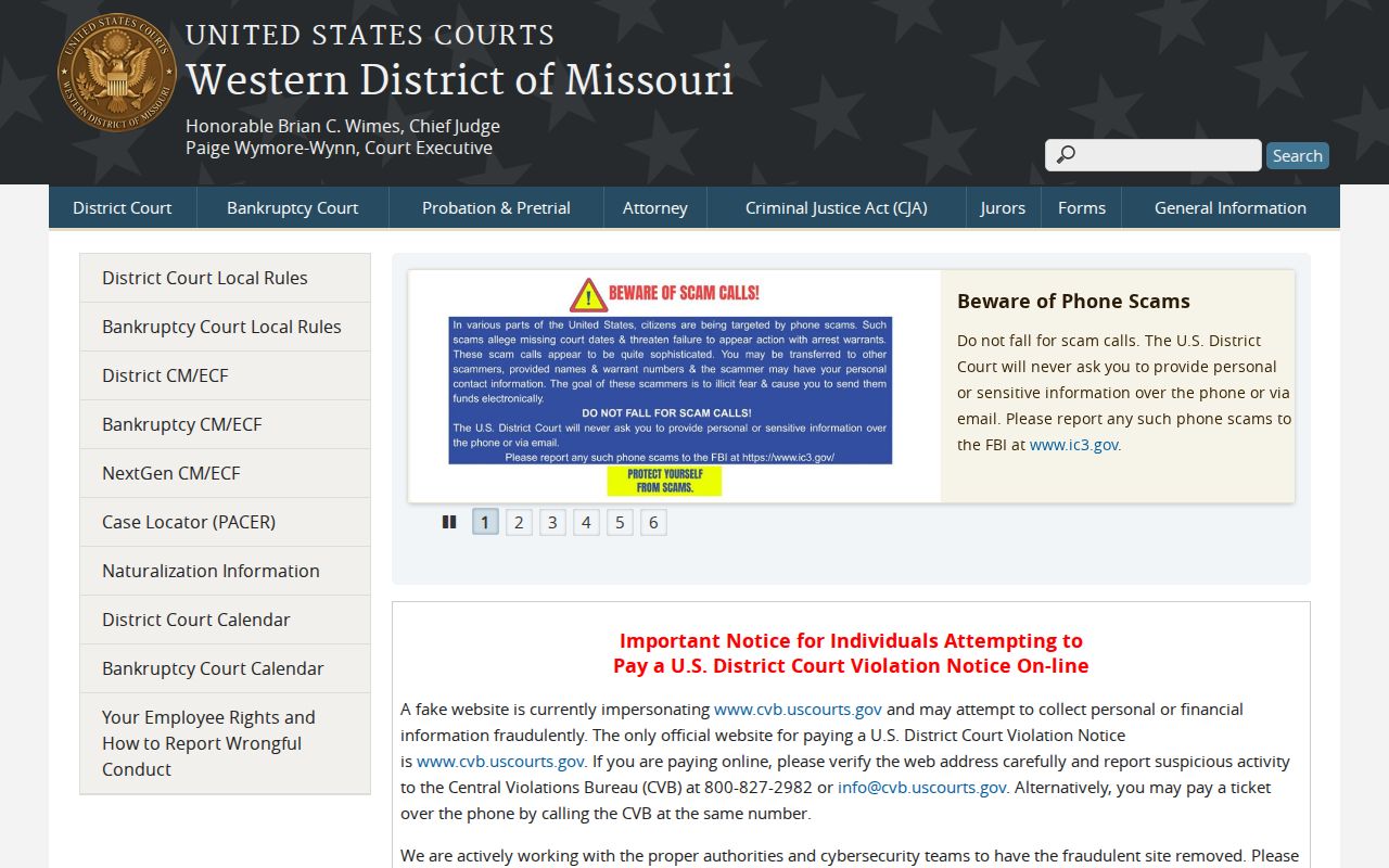 Taney County court docket federal court access distinction